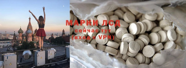 spice Дмитриев