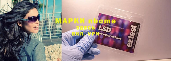 твердый Дмитров