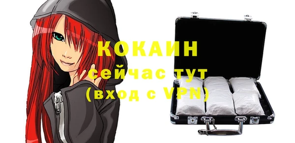 твердый Дмитров