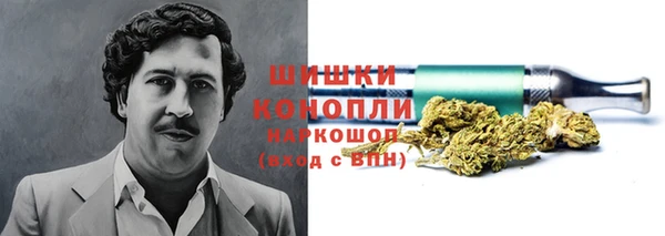 твердый Дмитров