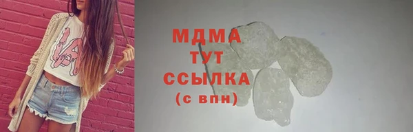 spice Дмитриев