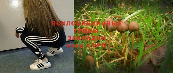 твердый Дмитров