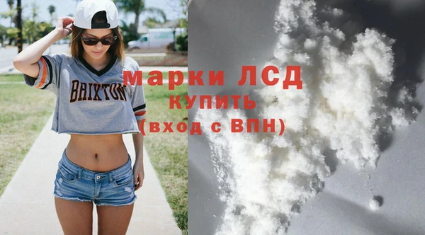 spice Дмитриев
