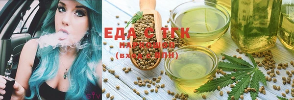 spice Дмитриев