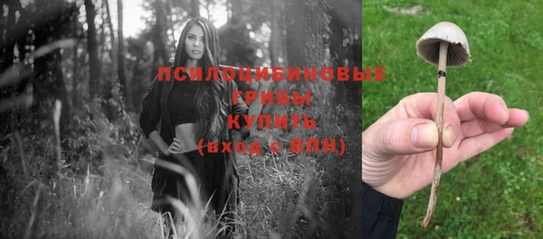 твердый Дмитров