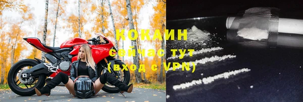 твердый Дмитров