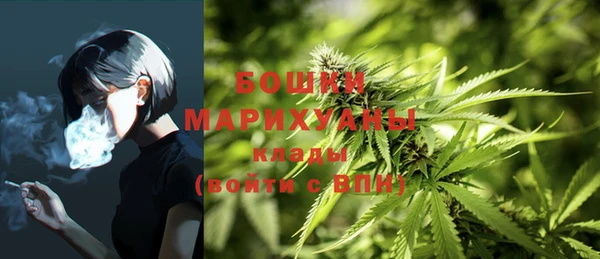 твердый Дмитров