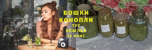 spice Дмитриев