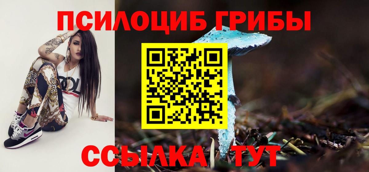 Псилоцибиновые грибы GOLDEN TEACHER  Вход с VPN  Елизово 