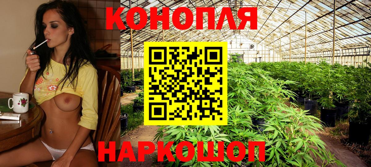 Шишки марихуана гибрид Елизово